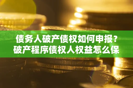 北京债务人破产债权如何申报？破产程序债权人权益怎么保障？
