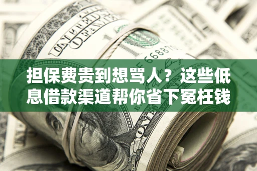 北京担保费贵到想骂人？这些低息借款渠道帮你省下冤枉钱