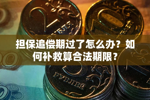 北京担保追偿期过了怎么办？如何补救算合法期限？