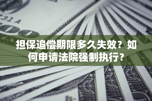 北京担保追偿期限多久失效？如何申请法院强制执行？