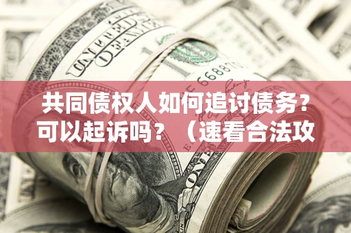 北京共同债权人如何追讨债务？可以起诉吗？（速看合法攻略）